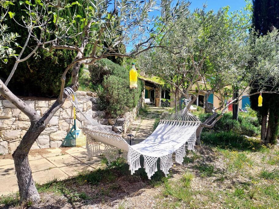 La Maison De Ninia Digne-les-Bains Bagian luar foto
